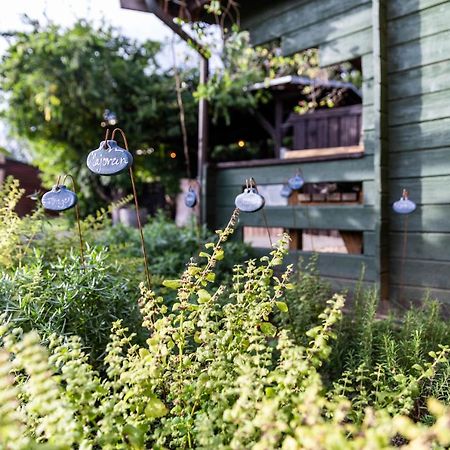 Chalet "Waldhauszeit" Am See ミュッケ エクステリア 写真