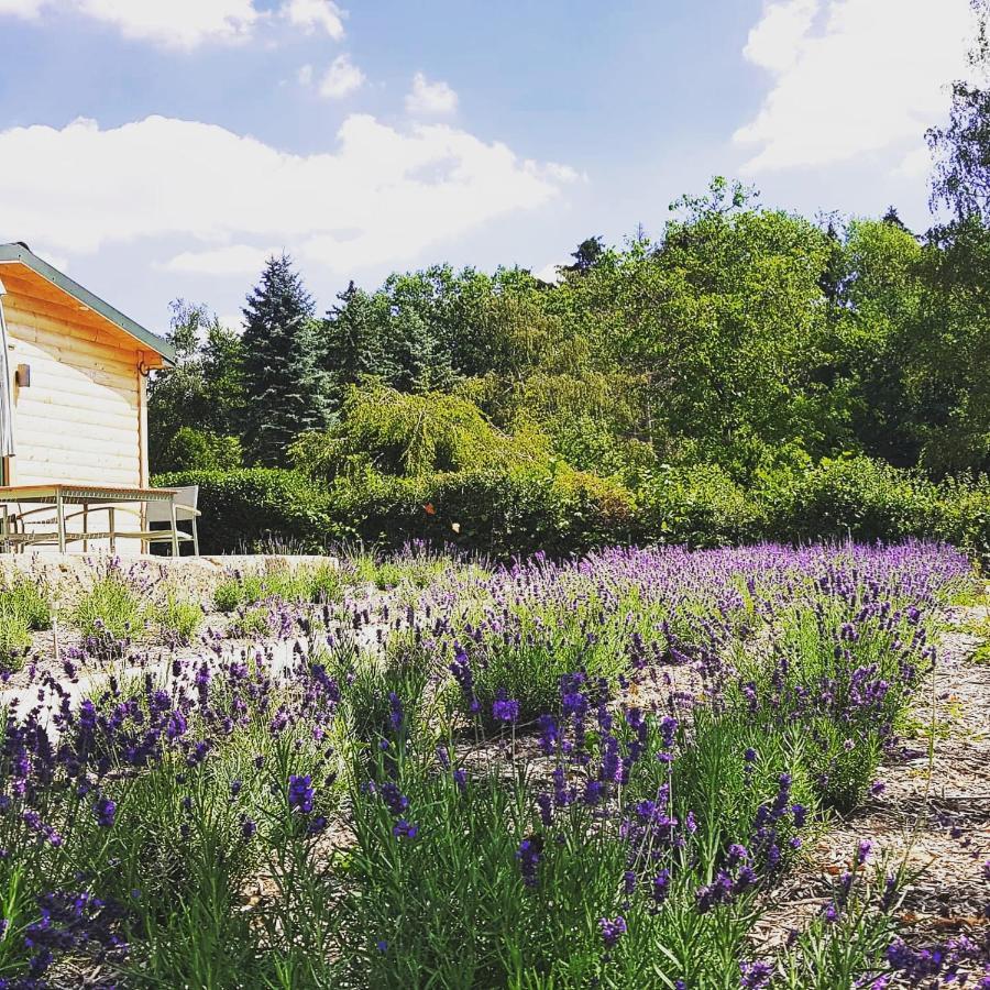 Chalet "Waldhauszeit" Am See ミュッケ エクステリア 写真