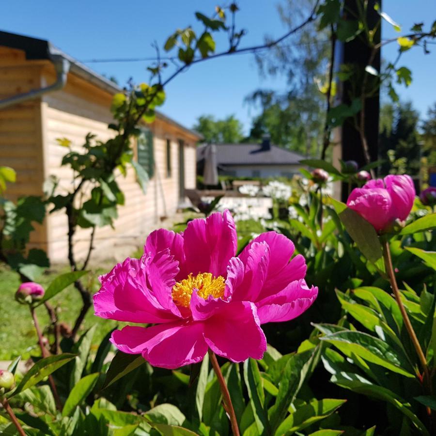 Chalet "Waldhauszeit" Am See ミュッケ エクステリア 写真